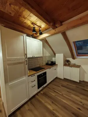 a kitchen with white appliances and wooden floors and wooden ceilings at Hiša Šturm in Tolmin