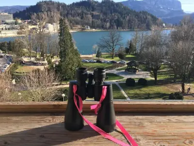 a pair of binoculars with a view of a lake at Lake and Castle view apartment in Bled