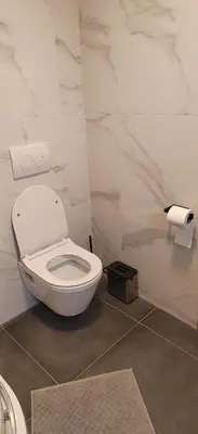 a bathroom with a toilet and a roll of toilet paper at MaxLux Apartments in Slovenj Gradec
