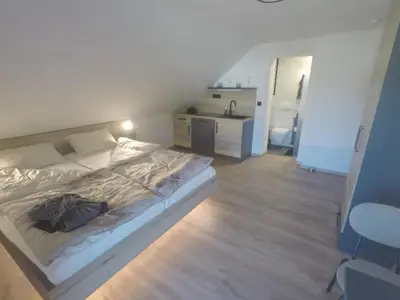 a bedroom with a bed and a sink in it at MaxLux Apartments in Slovenj Gradec