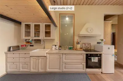 a kitchen with white cabinets and a white refrigerator at IQ wood apartment in Ljubljana