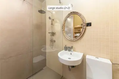 a bathroom with a sink and a mirror and a shower at IQ wood apartment in Ljubljana