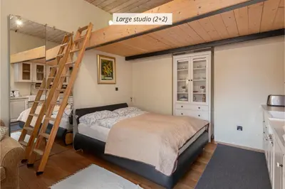 a bedroom with a bunk bed and a ladder at IQ wood apartment in Ljubljana