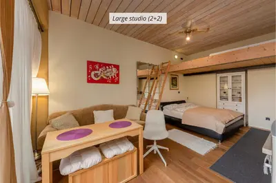 a bedroom with a bunk bed and a bed and a desk at IQ wood apartment in Ljubljana