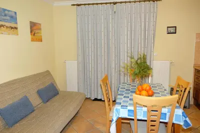 a living room with a table and a couch at Apartments Timjana in Bohinj