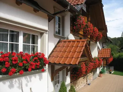 a house with red flowers on the windows of it at Apartments Timjana in Bohinj