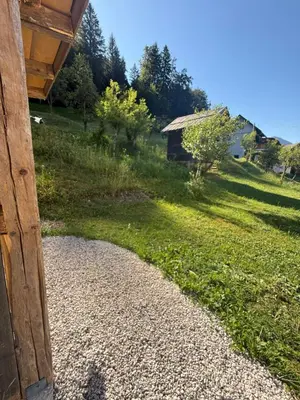 a view of a grassy field with a house at Apartma Klemenc in Bohinj