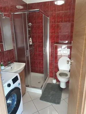 a bathroom with a shower and a toilet and a sink at Apartment Simon in Škofja Loka