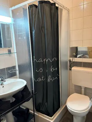 a bathroom with a shower with a toilet and a sink at Alpine Sun apartment in Kranjska Gora