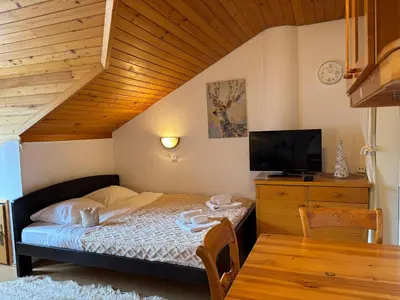 a small bedroom with a bed and a tv at Alpine Sun apartment in Kranjska Gora