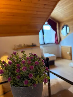 a pot of flowers sitting on a table in a living room at Alpine Sun apartment in Kranjska Gora