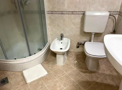 a bathroom with a shower and a toilet and a sink at Apartma DaPDa in Spodnje Škofije