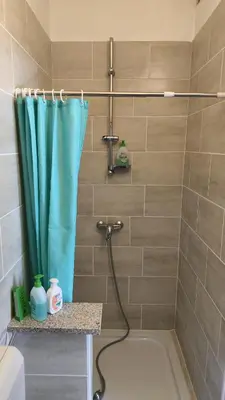 a bathroom with a shower with a blue shower curtain at Sobe Godina in Materija