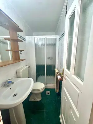 a bathroom with a toilet and a sink and a shower at Božič Residence in Vipava