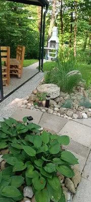 a garden with a bench and a bunch of plants at Emina Hiška in Braslovče
