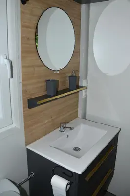 a bathroom with a sink and a mirror at Emina Hiška in Braslovče