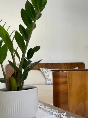 a plant in a white pot sitting on a table at Hiša Vuga in Tolmin