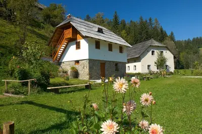 a house in a field with flowers in the foreground at Turistična kmetija Povh in Prevalje