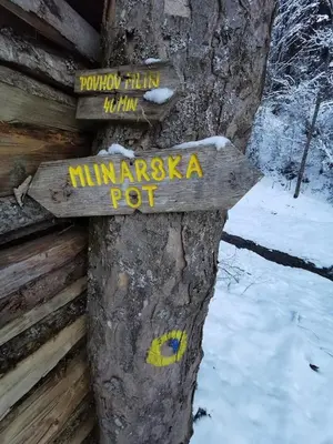 a wooden sign on the side of a tree at Turistična kmetija Povh in Prevalje