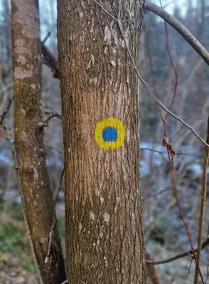 a yellow and blue circle on the side of a tree at Turistična kmetija Povh in Prevalje