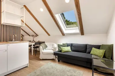 a kitchen and living room with a couch and a table at Mirola homes - rent in nature in Zagorje ob Savi