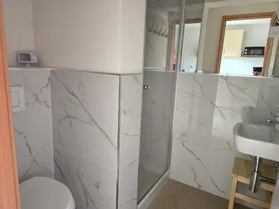 a bathroom with a shower and a toilet and a sink at Razor Vista Apartment in Tolmin