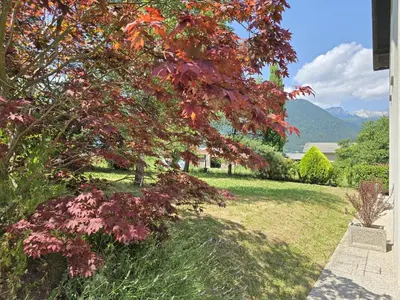 a tree with red leaves in a yard at Razor Vista Apartment in Tolmin