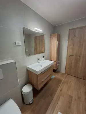 a bathroom with a sink and a toilet and a mirror at Apartments Serafina in Tolmin