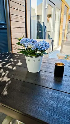 a vase of blue flowers sitting on a table at Relax Tiny House Ljubljana in Ljubljana