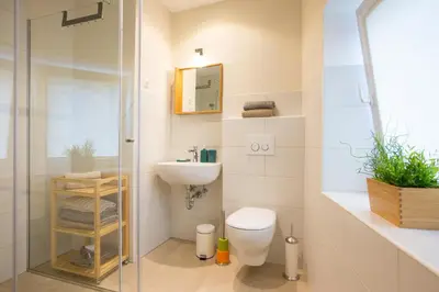 a bathroom with a shower and a toilet and a sink at Castle Rock Bled apartment in Bled