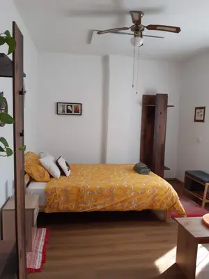 a bedroom with a bed and a ceiling fan at Hiša Tarka in Dobrovnik