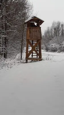 a bird feeder in a snow covered field at Hiša Tarka in Dobrovnik