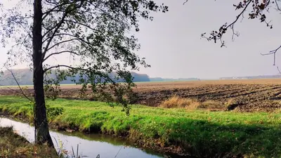 a field and a river with a tree in the foreground at Hiša Tarka in Dobrovnik