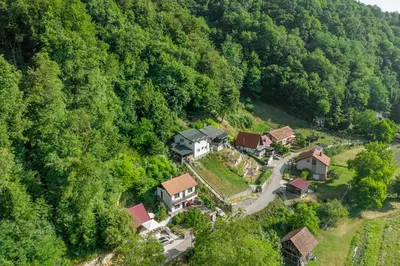 an aerial view of a house in the middle of a forest at Apartma Manca in Jesenice na Dolenjskem