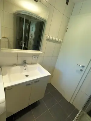 a bathroom with a white sink and a mirror at GM apartma in Radovljica