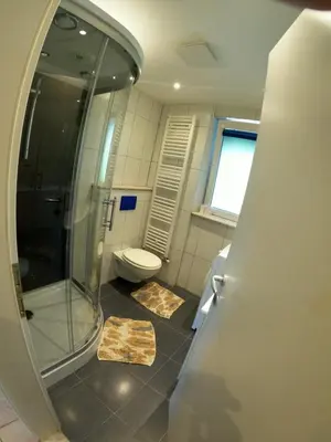 a bathroom with a shower and a toilet at GM apartma in Radovljica