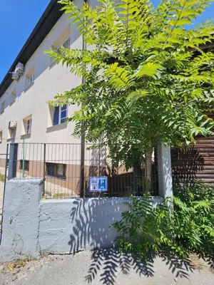 a tree in front of a building with a fence at Studio R in Ljubljana