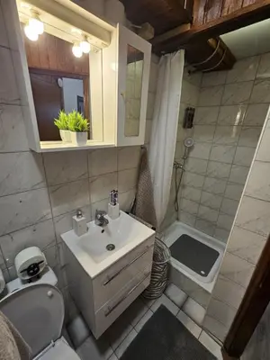 a bathroom with a sink and a toilet and a shower at Studio R in Ljubljana