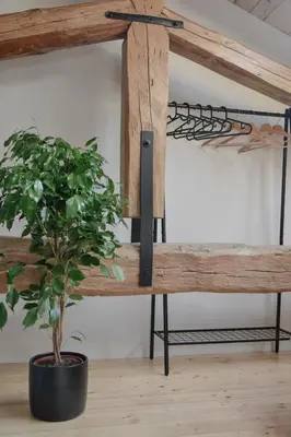 a shelf in a room with a potted plant at Viktor Estate in Deskle