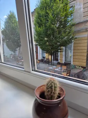 a plant in a pot sitting on a window sill at Ritual Studio City Center in Ljubljana