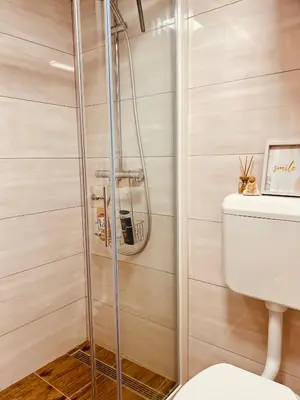 a glass shower in a bathroom with a toilet at Minicottage Casa de Lipa in Kostanjevica na Krki