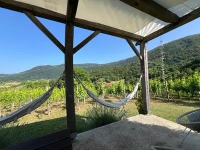 a porch with a hammock in a vineyard at Minicottage Casa de Lipa in Kostanjevica na Krki