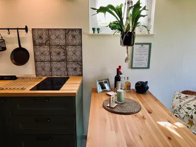a kitchen with a wooden counter top and a wooden table at Minicottage Casa de Lipa in Kostanjevica na Krki