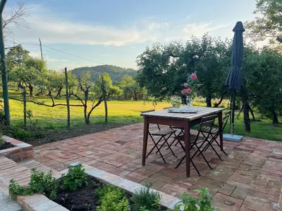 a table with a vase of flowers and a umbrella at Maria's Orchard Cottage - Nature Retreat in Slovenia in Rogaška Slatina
