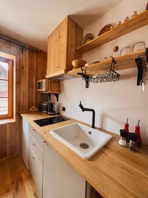 a kitchen with a sink and wooden cabinets at Maison Lenka in Rateče