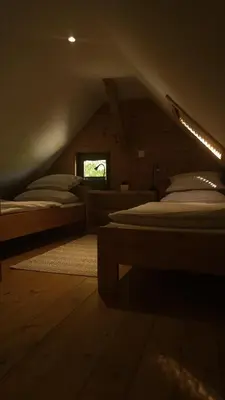 a attic room with two beds and a window at Lake house Amur in Kočevje