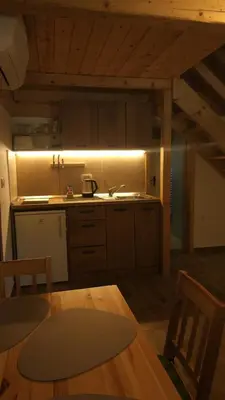 a kitchen with a sink and a table in a room at Lake house Amur in Kočevje