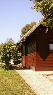 a log cabin with a pathway next to a building at Lake house Amur in Kočevje
