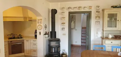 a kitchen with a wood stove in the middle at Karsolina in Štanjel