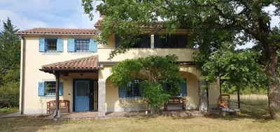 a house with a blue door and a tree at Karsolina in Štanjel